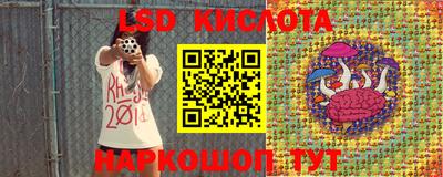 крисы Дубна