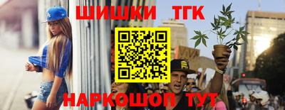 крисы Дубна