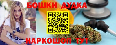 крисы Дубна