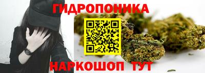 крисы Дубна